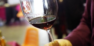 Il Mercato dei Vini di Piacenza: il paese dei balocchi di ogni enonauta