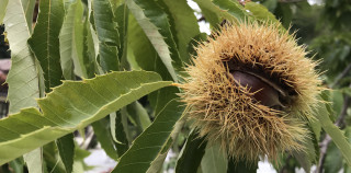 7 evasioni da questo autunno