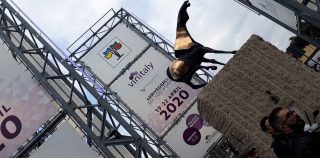 Quando il vino non è solo vino: 10 riflessioni dopo il Vinitaly2019