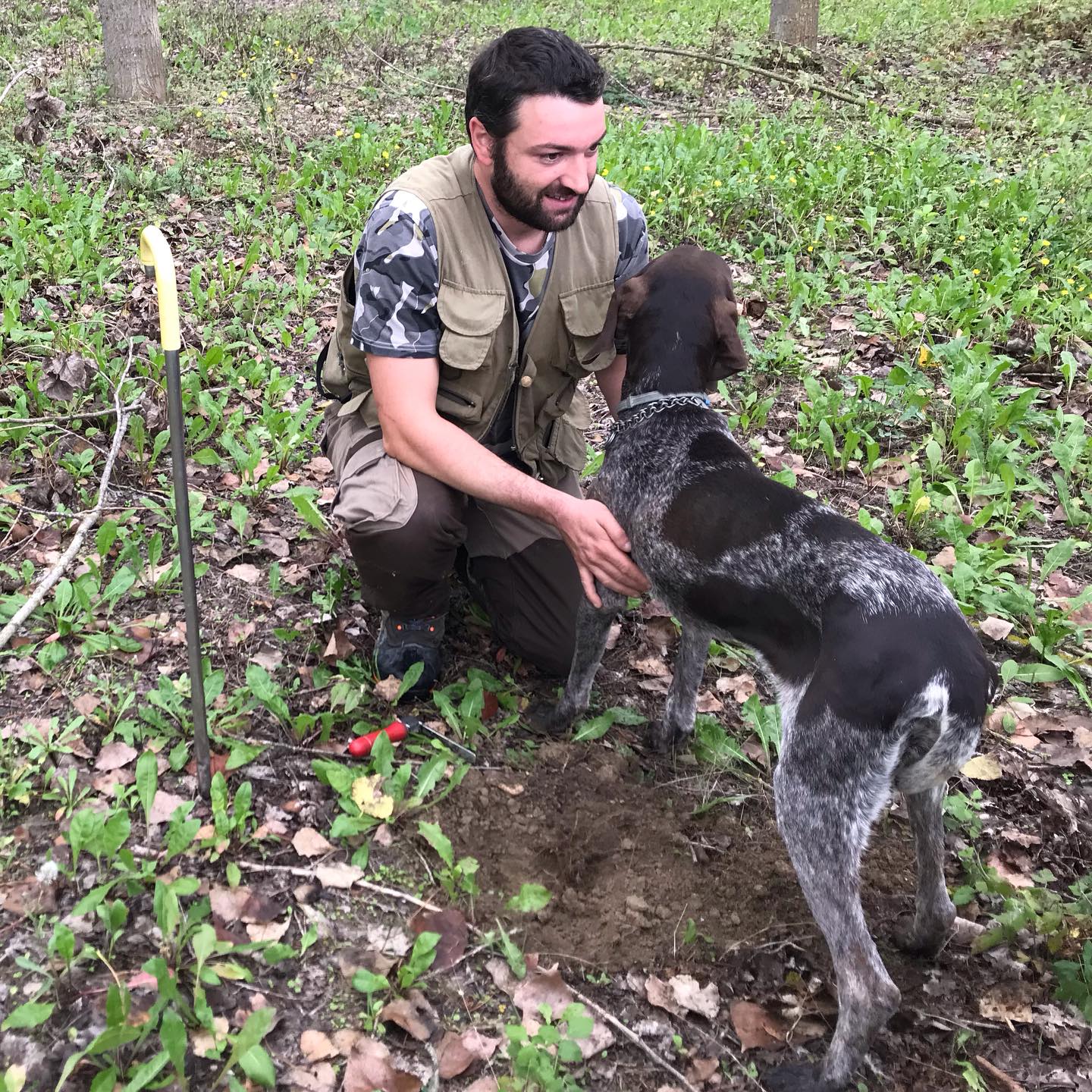 trifulau e cane nel bosco