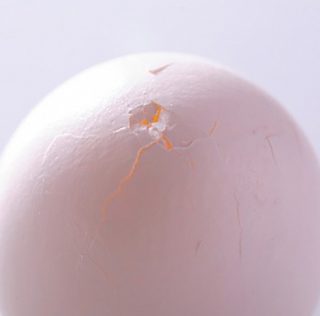 L’uovo, ma… 4 idee ovali per la Pasqua 2024